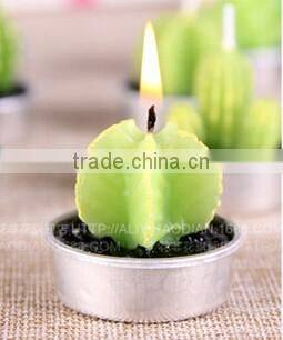 Cactus and Grape Plant Birthday Scented Candle