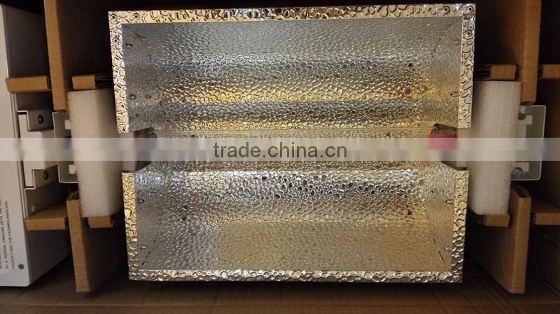 1000 Watt Double Ended Light for Hydrponic