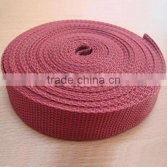 PP Nyon Webbing Leashes