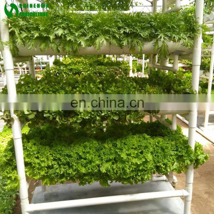 Indoor Plant Hydroponic Set In Greenhouse
