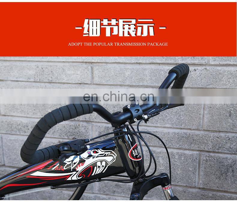 Cheap and best 26 inch 21 speed fat tire Mountain Bike with disc brake