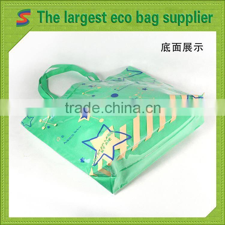 LB95 Pp Non Woven Matt Laminated Bag