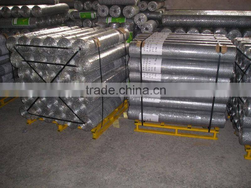anping hexagonal mesh