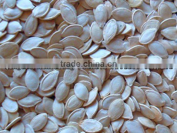 Pumpkin seeds in shell