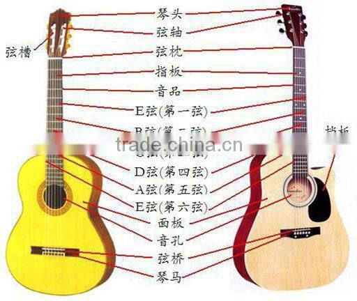 Acoustic Guitar