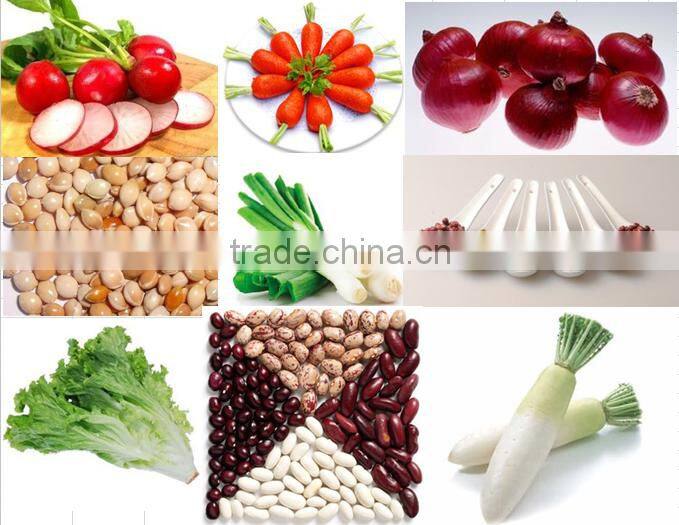 8 row no till Precision pneumatic garlic planting seeder machine for various land