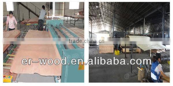 Rotary Cut Okoume Veneer