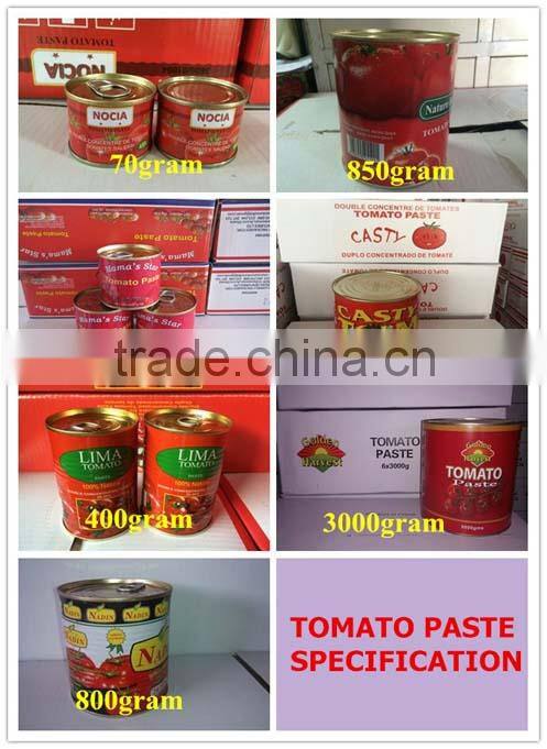 Tinned Tomato Paste