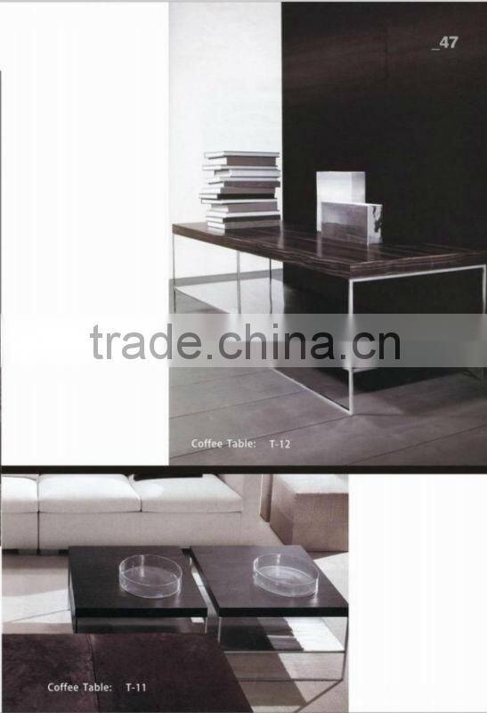 Stainless steel leg long coffee table (T-11)