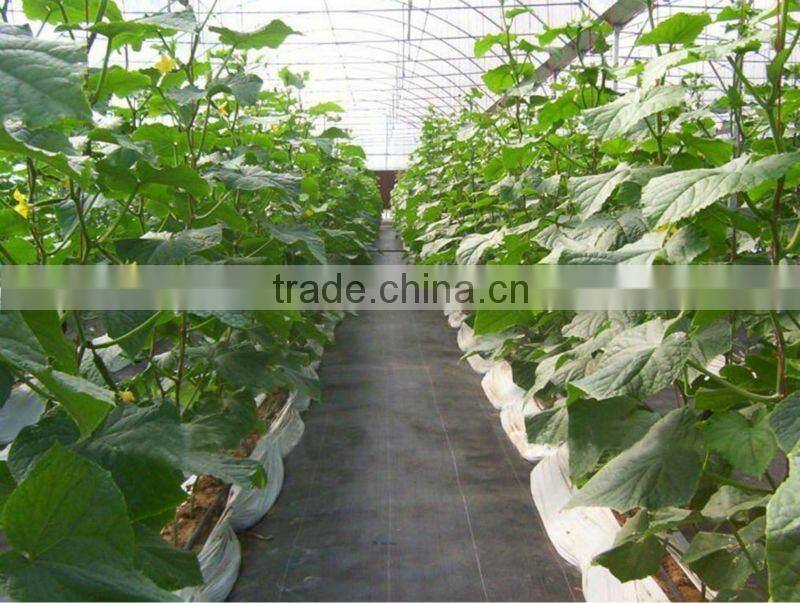 Black plastic ground cover mat