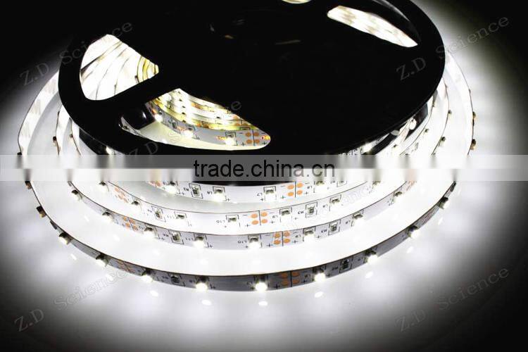 12V Light LED Strip Waterproof Non Waterproof LED Light Swimming Pool Rope Light