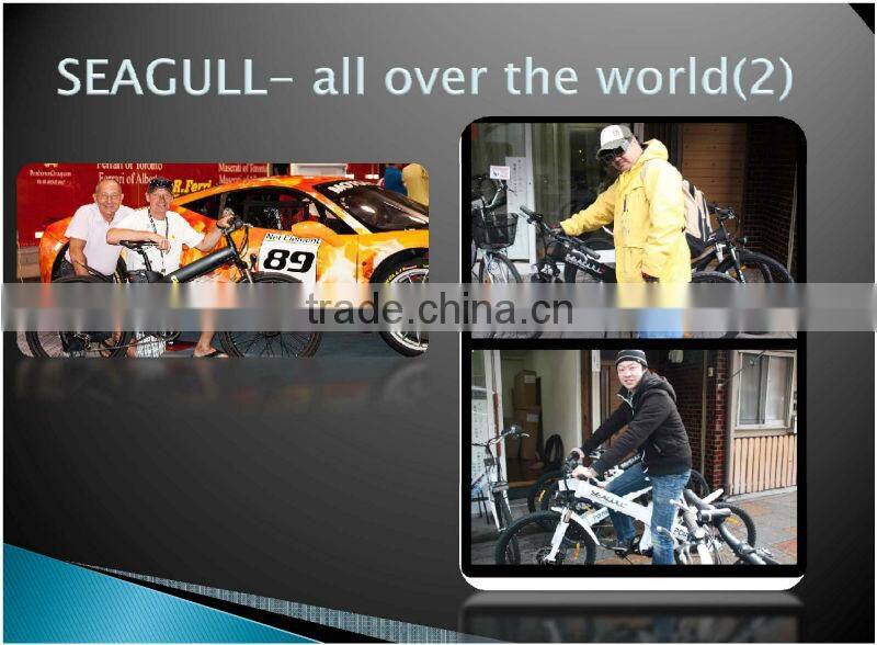 26inch electric bike battery box,electric bike lowest price,full suspension titanium mountain bike