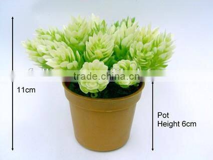 H11cm Plastic New Cone Pine Potted Flowers for Table Decoration