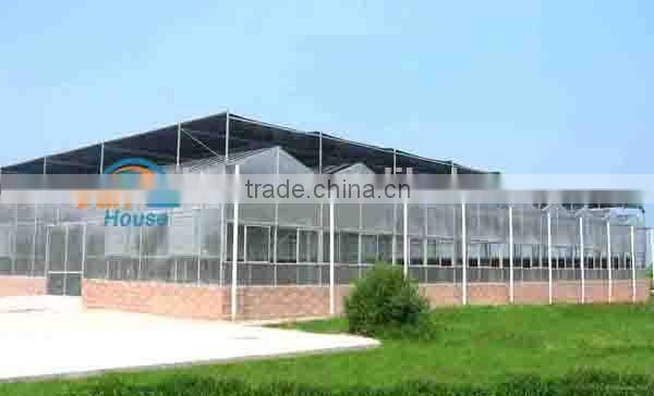 Polycarbonate Sheet for Greenhouse Roofing Plastic