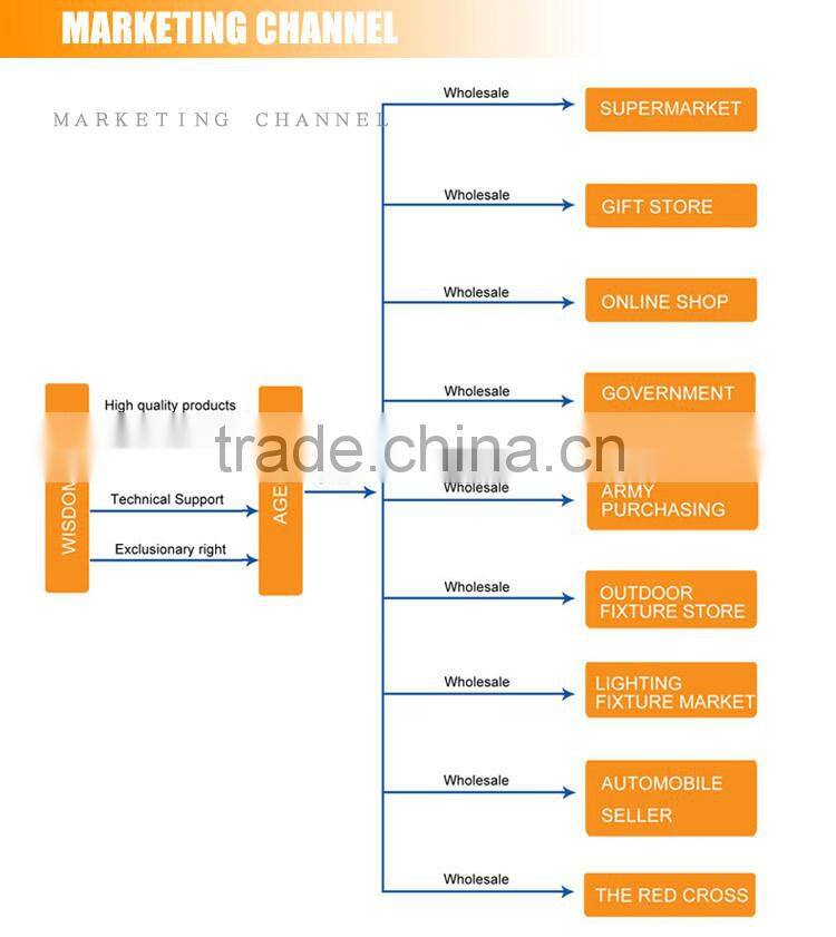 Hot sale automatic dusk to dawn bright led 12pcs solar home light small size with panel indoor emergency use