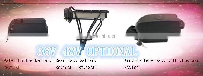 48v 350w electric bike kit with battery
