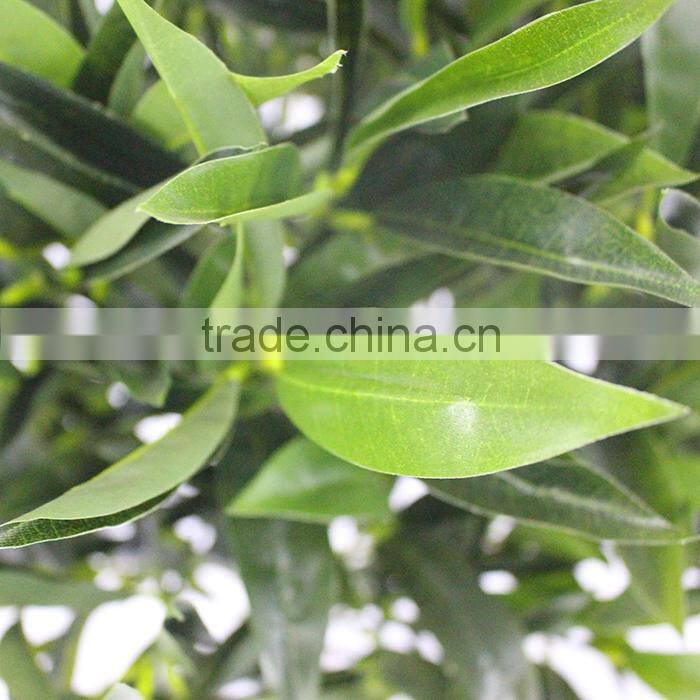 make fake hand-feeling olive tree olive plant