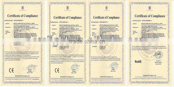 cornely 121 IP65 IP67 COB Garden Lighting Dimmable CE RoHS Bridgelux Street Light LED