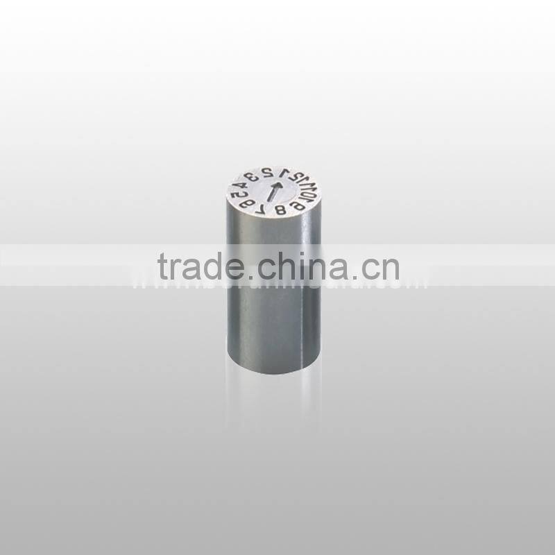 replaceable date stamp