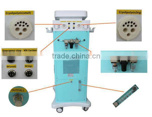 $2850/set in June Promotion Multifunction Cryolipolysis Freezing Fat Machine with 5 Handpiece For Salon / Clinic use