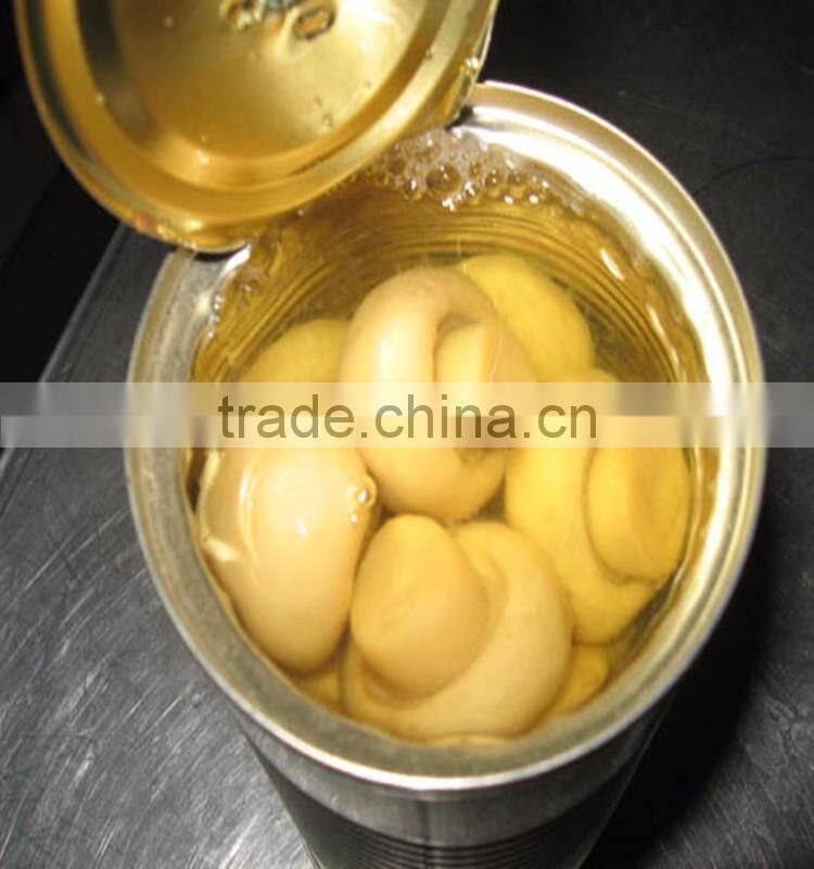China food Canned Champignon Mushroom