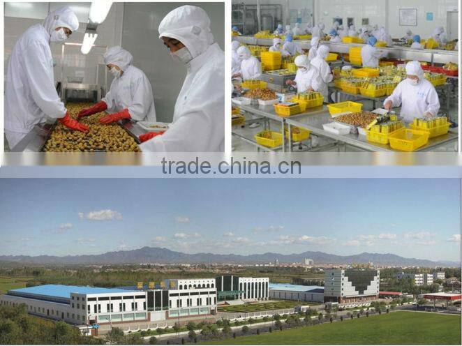 Best quality roasted chestnuts with shell, Chinese chestnuts