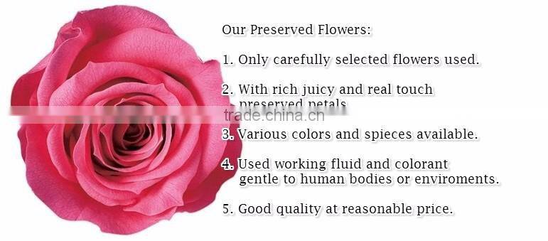 Pretty and Cute real touch hydrangea preserved flowers with various species