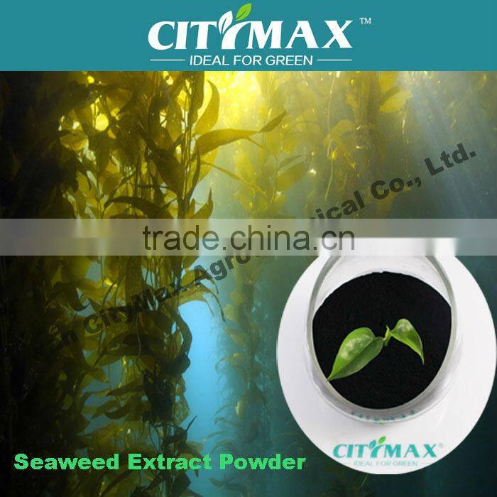 100% water soluble high organic matter algae acid extract powder fertilizer