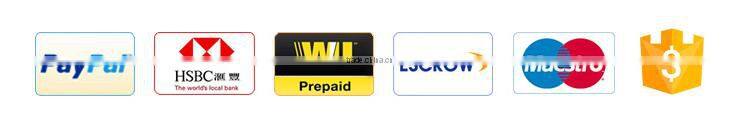 Double head Magnetic Pump Liquid Filling Machine for liquid