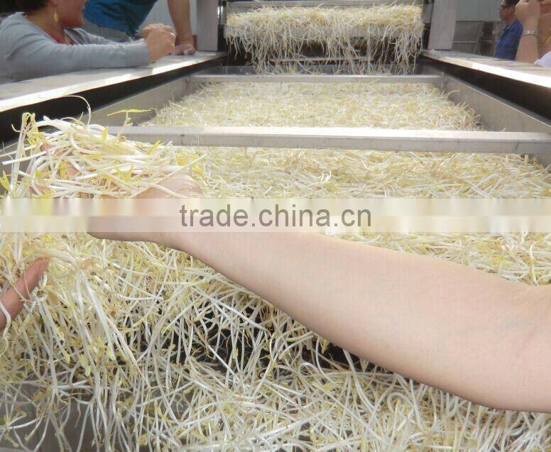 High efficiency bean sprout skin peeling machine