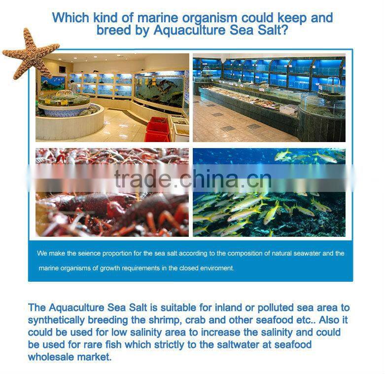 Lobster/shrimp Aquaculture Sea Salt