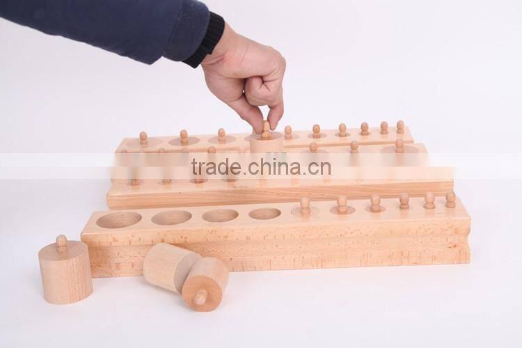 Teaching AIDS Wooden educational toys montessori Cylinders blocks
