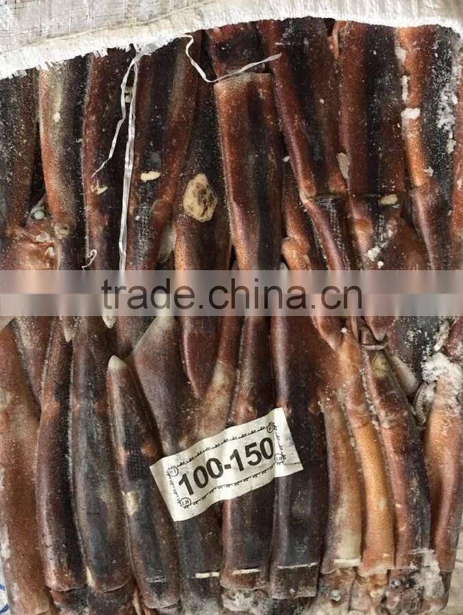 frozen Argentina illex squid for wholesale