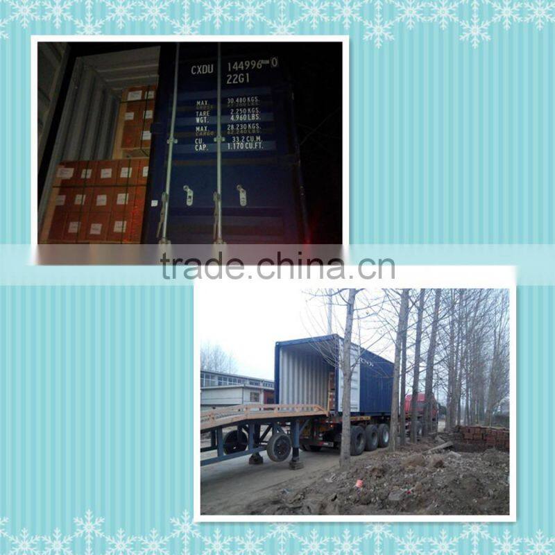CHINA FACTORY HOT SALE HOT DIP GALVANIZED STEEL CHAIN