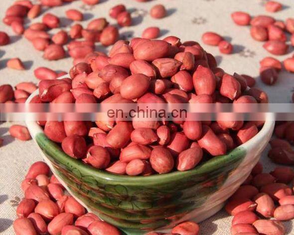 Soybean cashew ginger cocoa coffee bean peeling machine