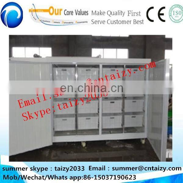 best price livestocks animal feed fresh grass fodder sprout hydroponic machine