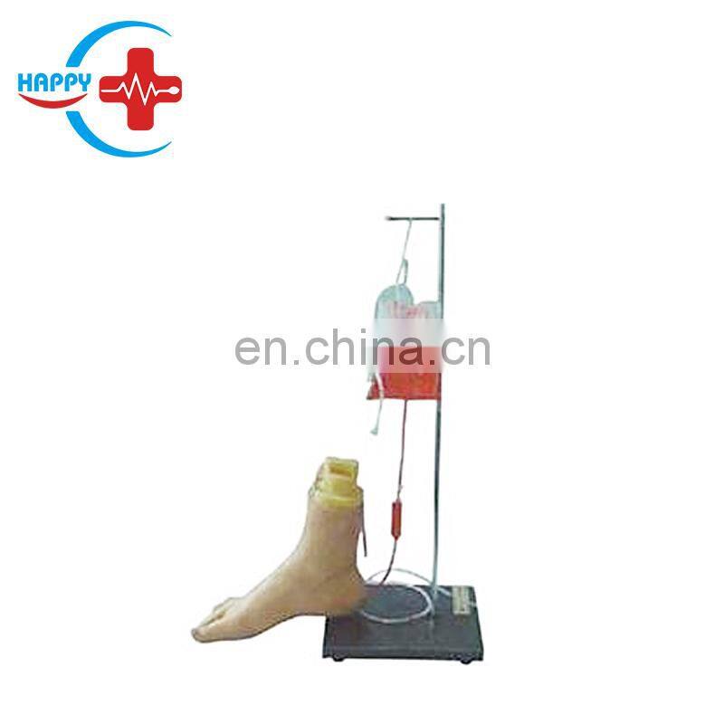HC-S274 Normal foot/flat foot/arched foot model,Medical Human Anatomical foot model