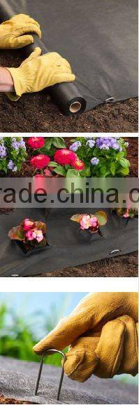 Foreign customer visit our factory for pp nonwoven fabric