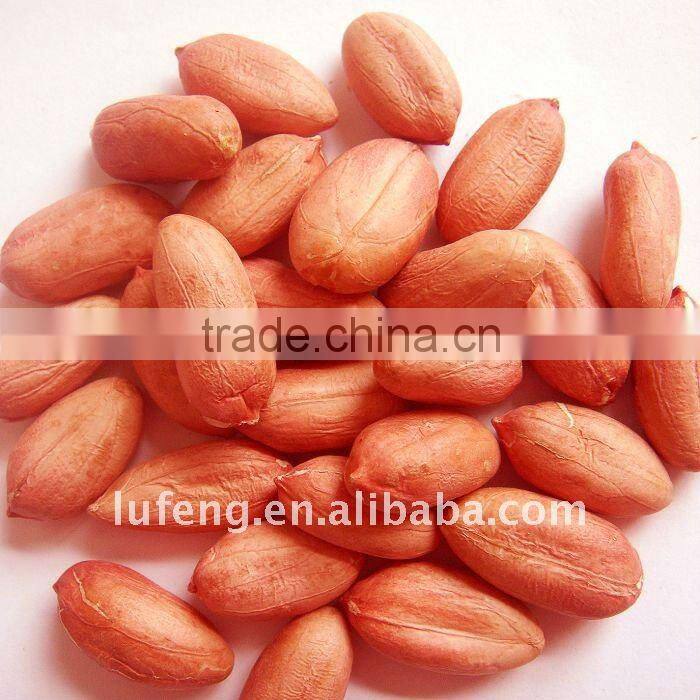 Washed peanut in shell 2012 CROP