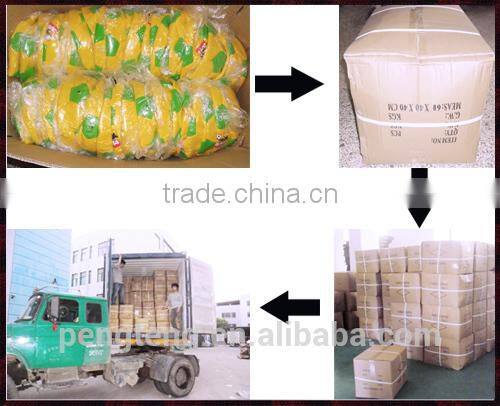 international match volleyball