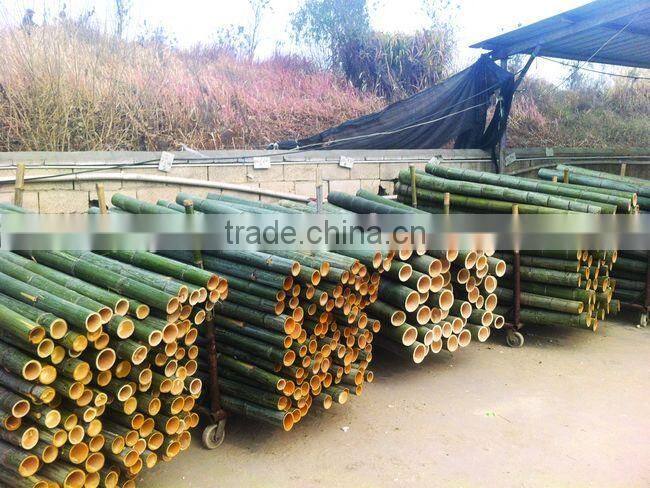 painting wooden stick for gardon