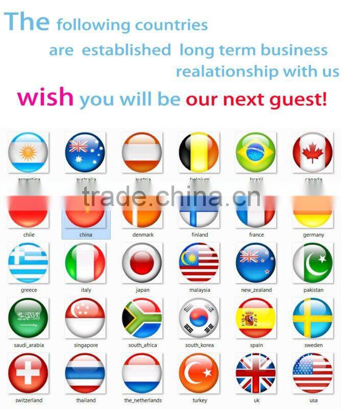 motorcycle amplifier(motorcycle amplifier,mini amplifier,car amplifier)