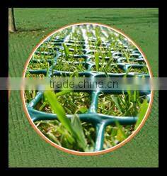 Protected Netting| Fence in Landscape Engineering from China