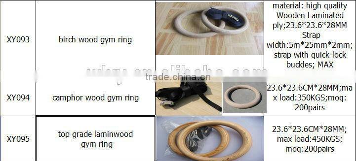 New Gym Ring PC Gym Ring with strap(25mm) 2015 NEW! GYM RING,WOOD RING,OLYMPIC RING