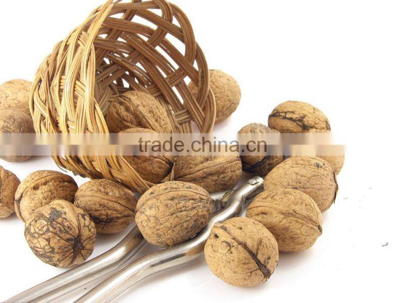 natural walnuts dried in shell for wholesale
