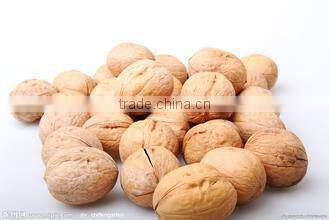 chestnut roaster with high quality 008615638185395