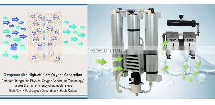 Bio Current Anti-aging and Oxygen Beauty Machine for Skin Care
