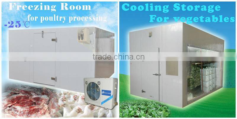 PU Insulation Freezer Meat Storage Room