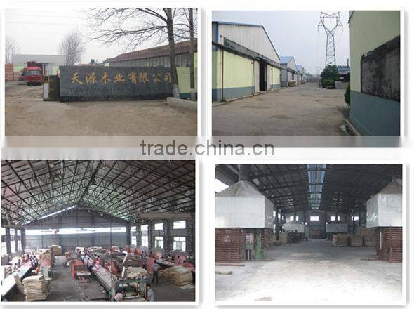 1220*2440 container flooring plywood