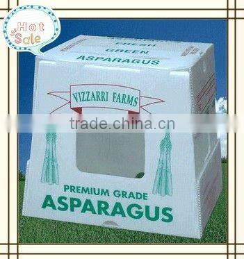 polypropylene Cartonplast fruit box for cabbage